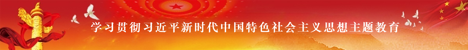 学习贯彻习近平新时代中国特色社会主义思想