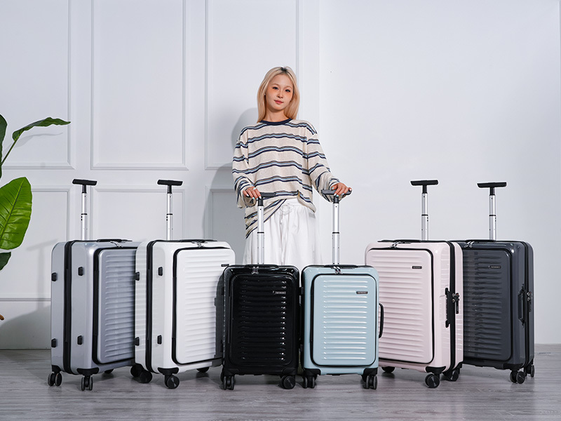 Air Travel Luggage