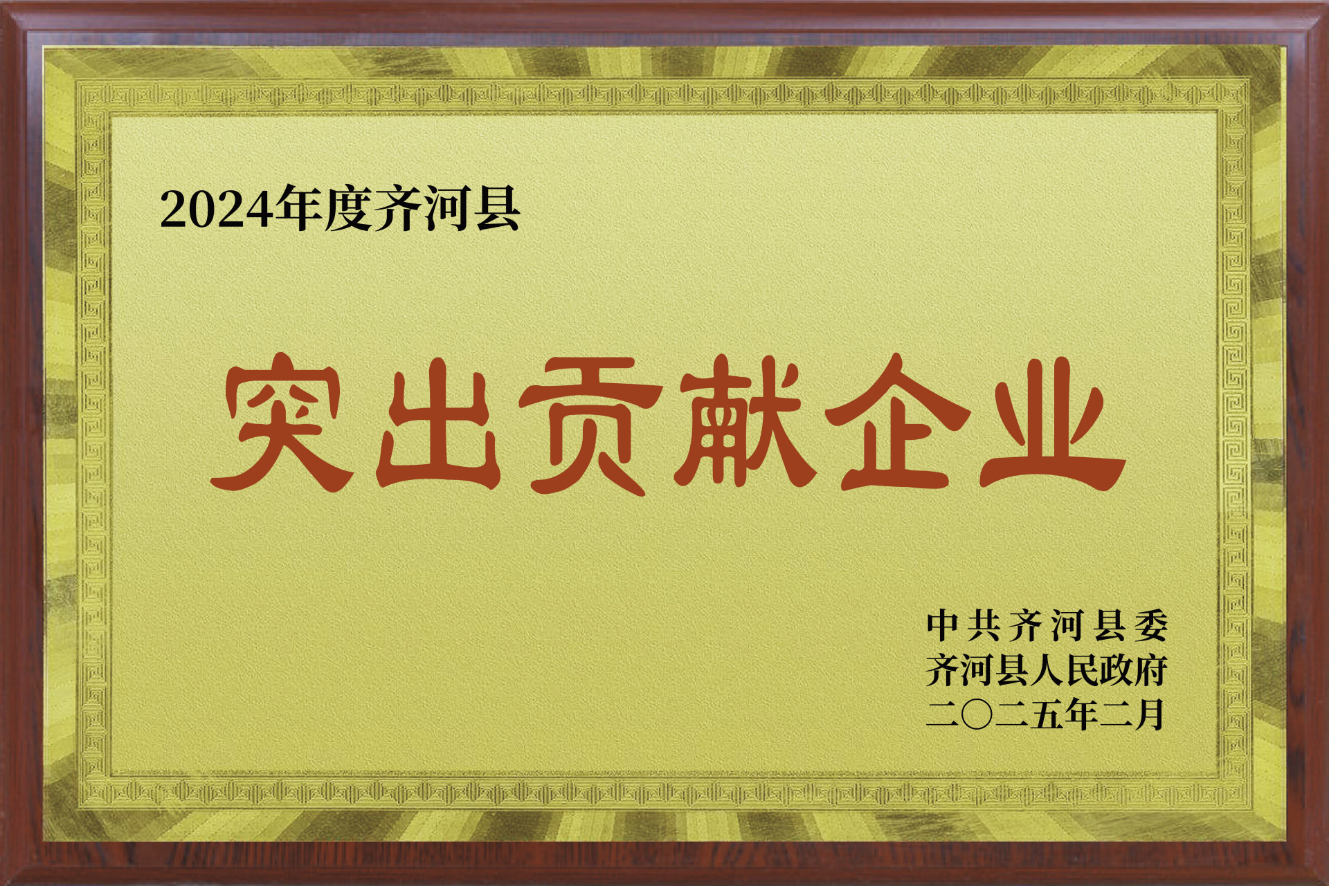2024年度齐河县突出贡献企业