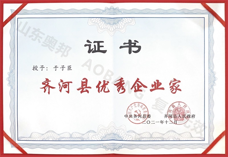 齐河县优秀企业家