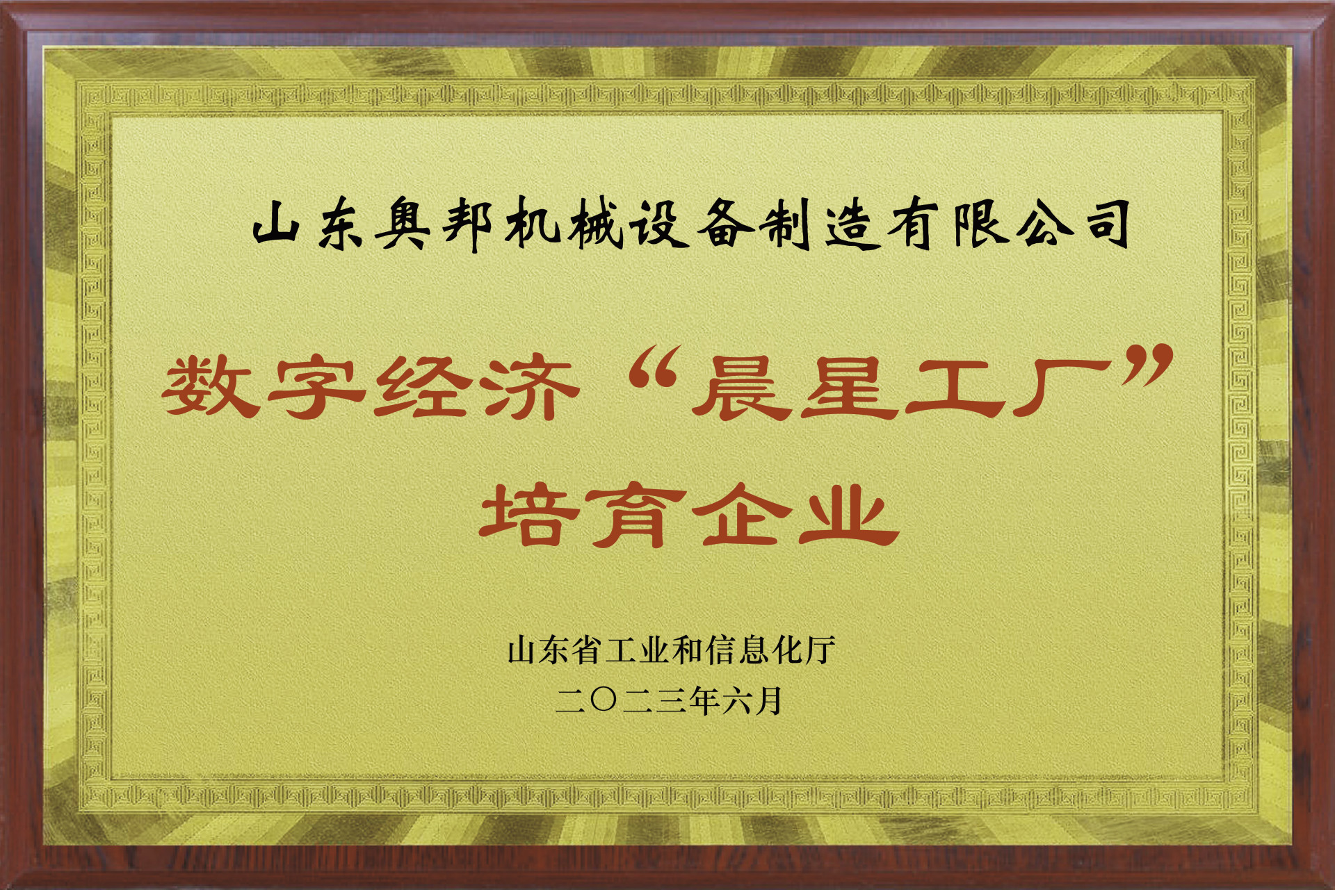 数字经济“晨星工厂”培育企业