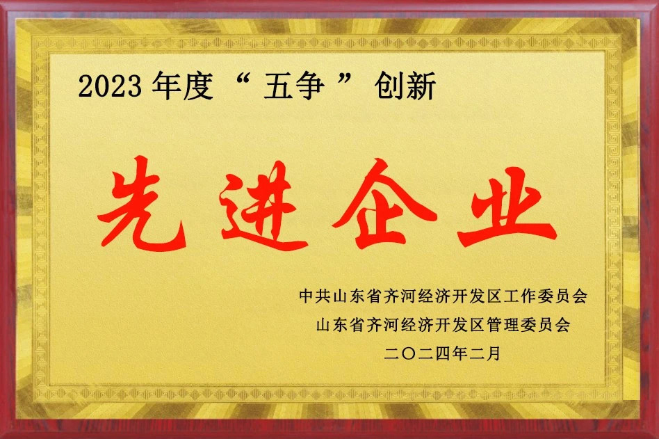 齐河县2023年度“五争”创新先进企业