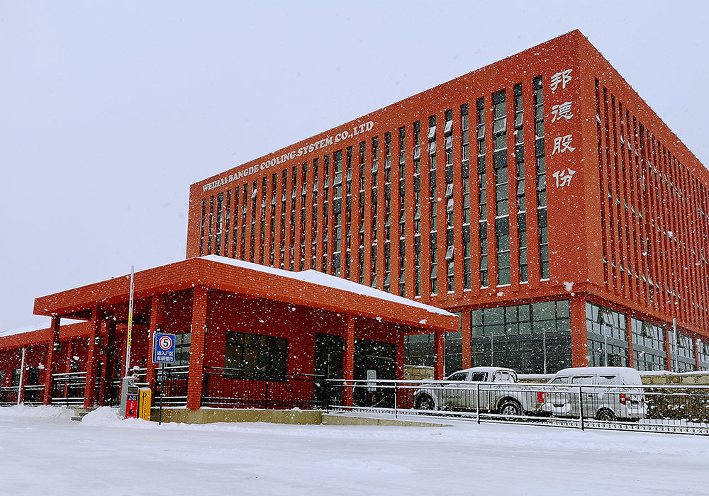 傲雪凌霜 傲雪凌霜