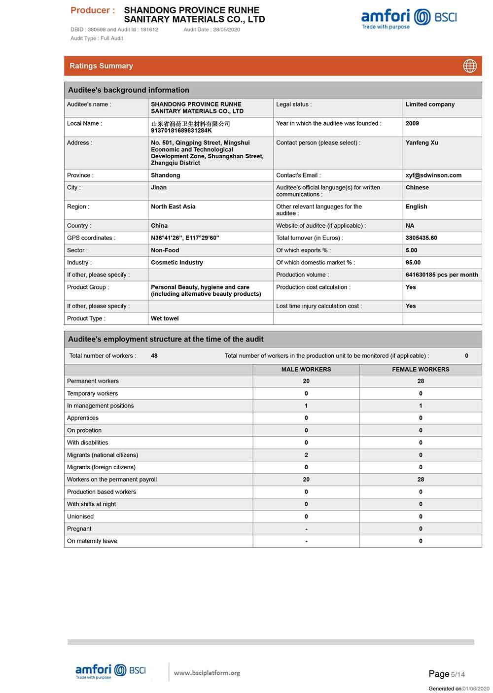 SummaryAuditReport