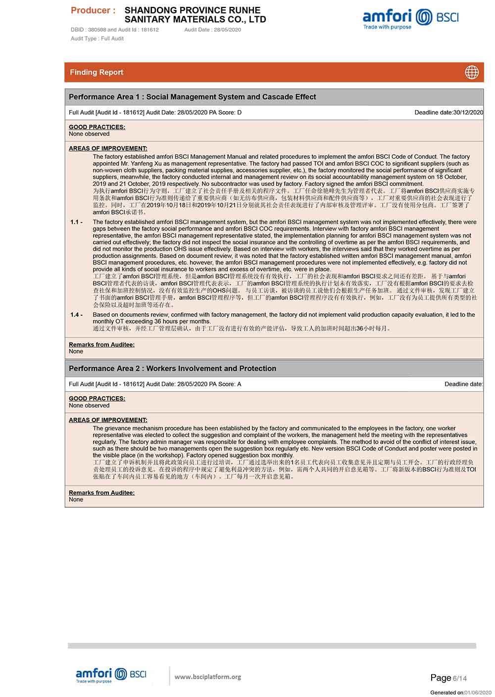 SummaryAuditReport