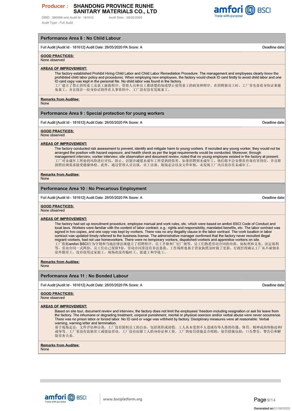 SummaryAuditReport