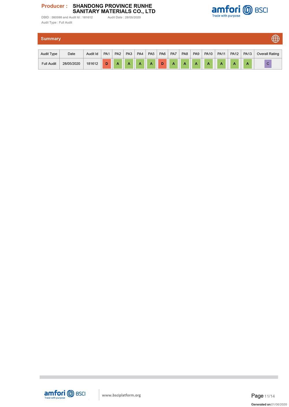 SummaryAuditReport