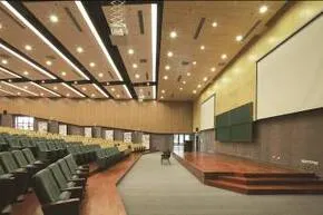 广东顺德中山大学-卡内基梅隆大学国际联合研究院工程