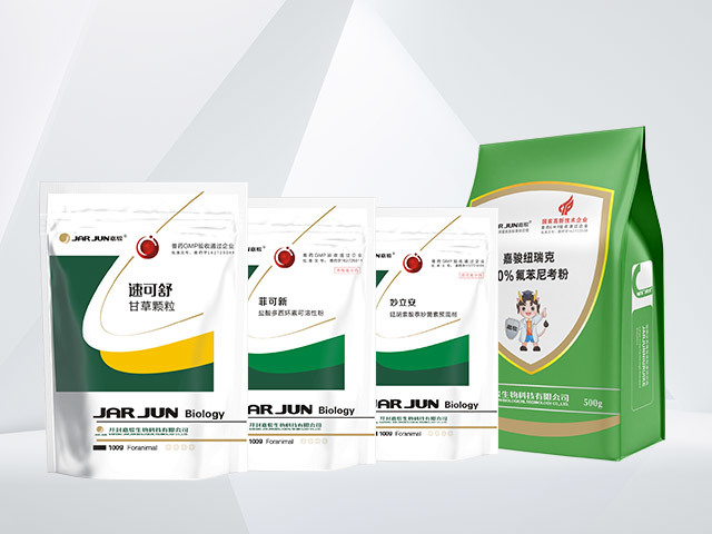 嘉骏支呼康方案