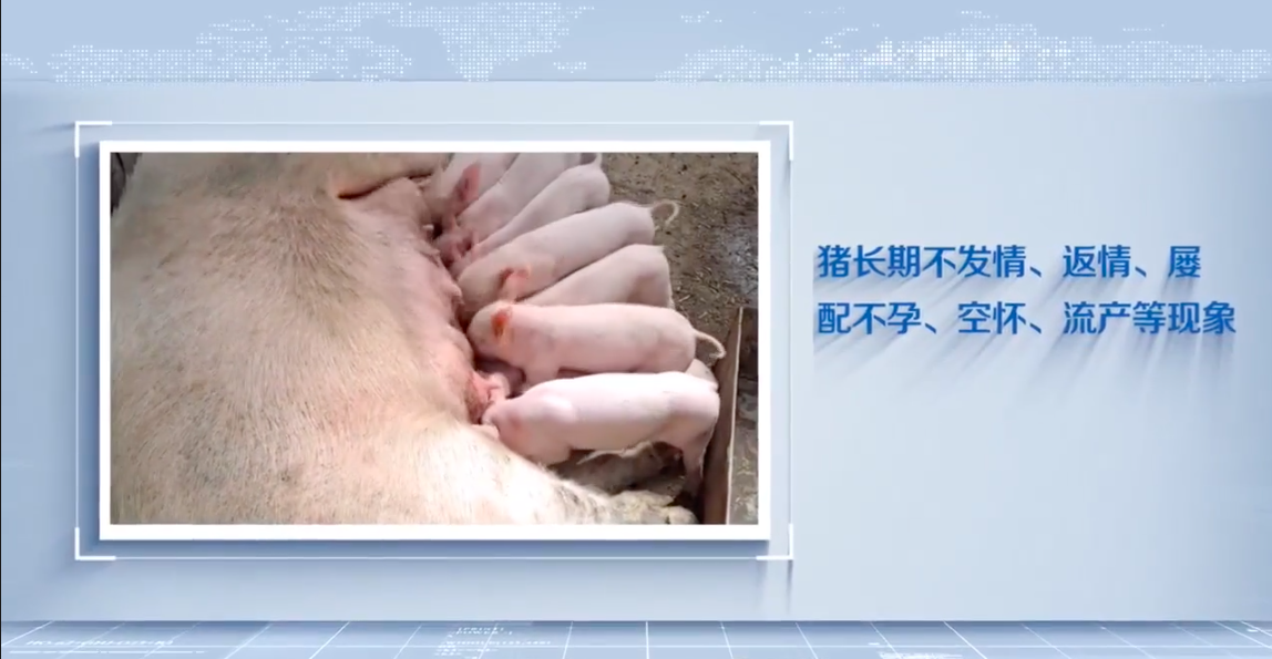 第三代宫卫宝