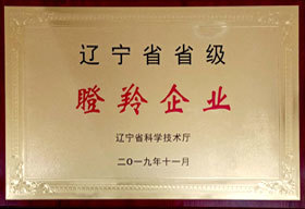 瞪羚企业