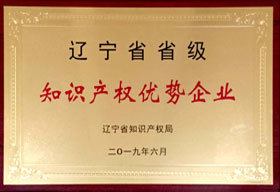 知识产权优势企业