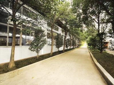 Boulevard