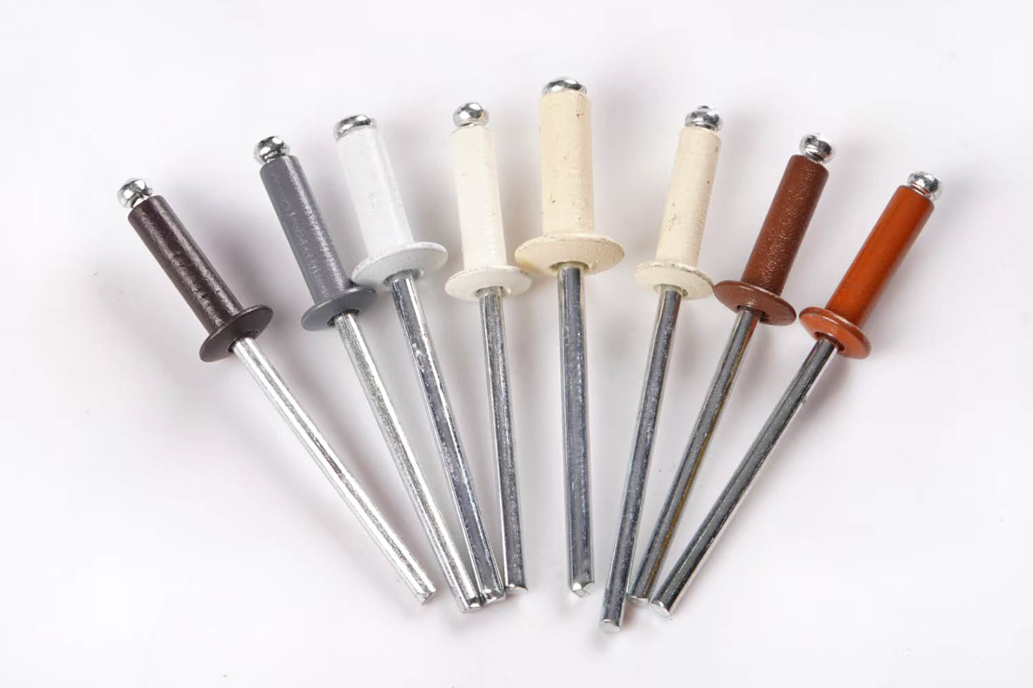 Painted blind rivets
