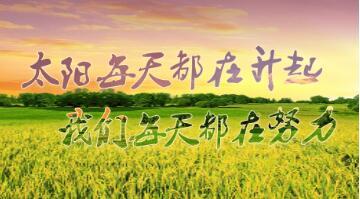 荃銀高科“徽兩優(yōu)985”榮膺2025年度超級(jí)稻品種