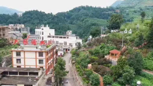 厂区环境