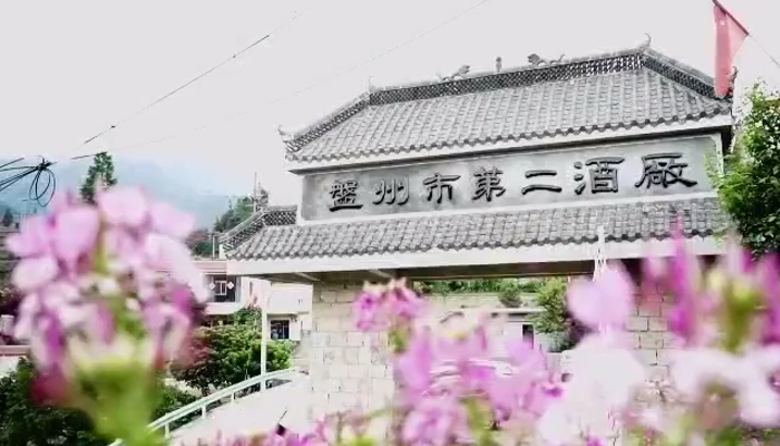 视频标题