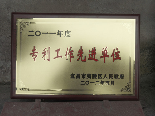 Advanced Unit in Patent Work Advanced Unit in Patent Work