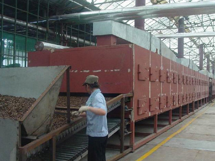 Mesh belt dryer application site
