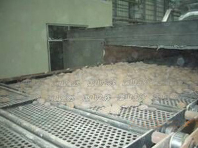 Sitio de aplicación del secador de aletas de Gansu