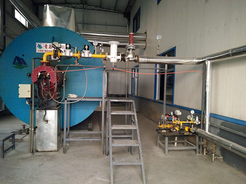 Split oil and gas dual-purpose burner supporting boiler application site