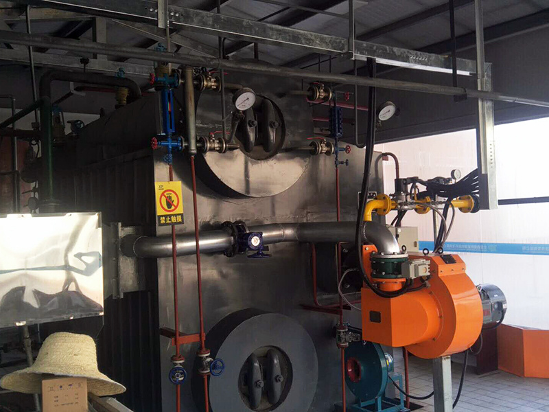 Beijing Xinpan mechatronics natural gas burner application site