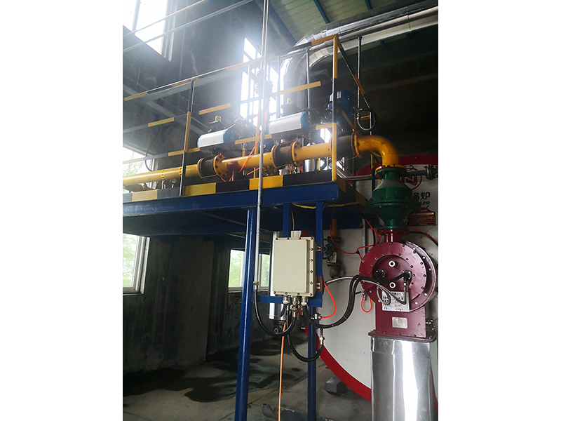 Shouguang Wanrui Chemical hydrogen burner application site, supporting thermal oil furnace