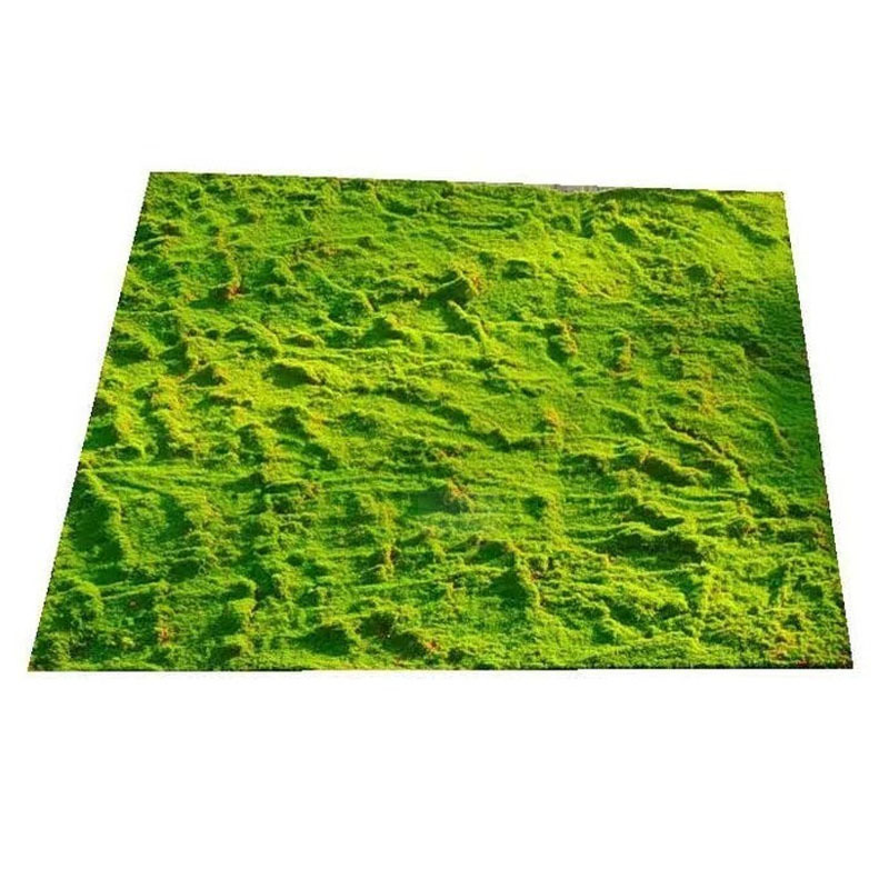 Moss