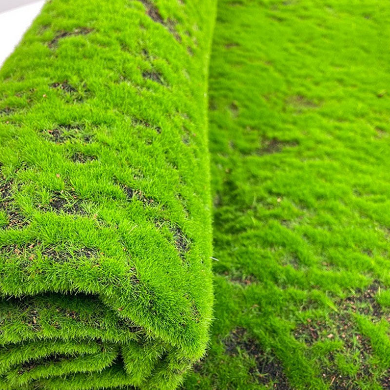 Moss（Coffee Moss Slices）
