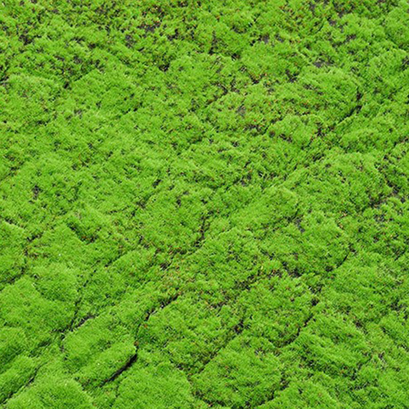 Simulated moss