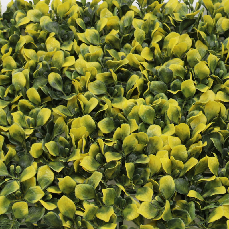 No.8 yellow green big leaf