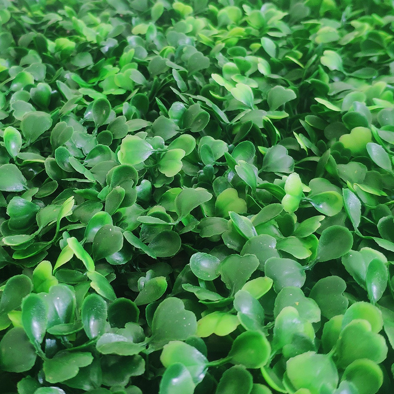 Milan Grass