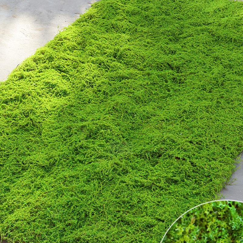 Transform Your Space with Customized Decorative Artificial Moss: A Comprehensive Guide Transform Your Space with Customized Decorative Artificial Moss: A Comprehensive Guide
