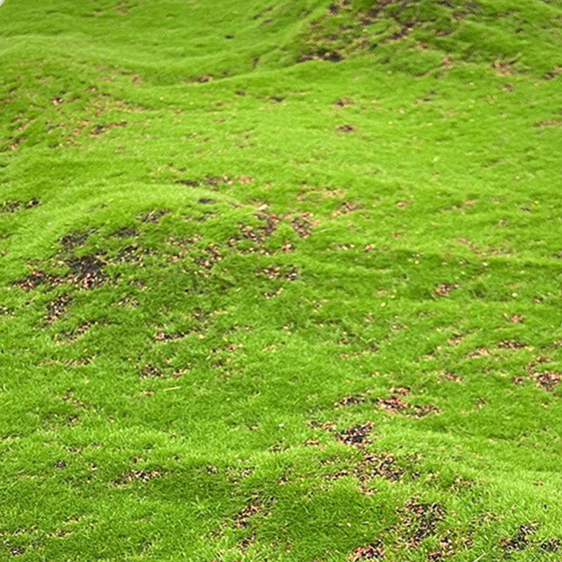 Simulated moss
