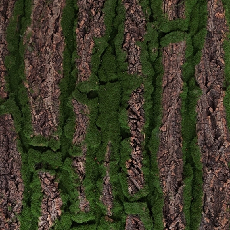 Bark