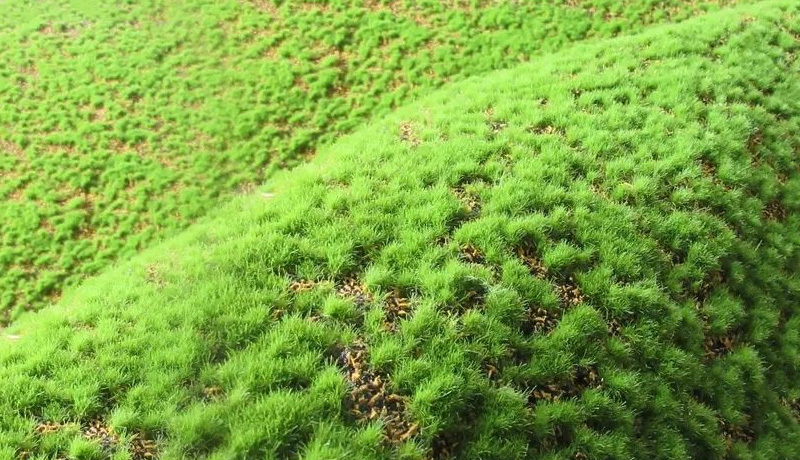 Artificial Moss Artificial Moss