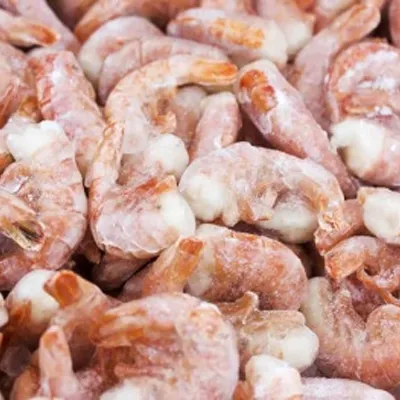 Frozen Food Frozen Food