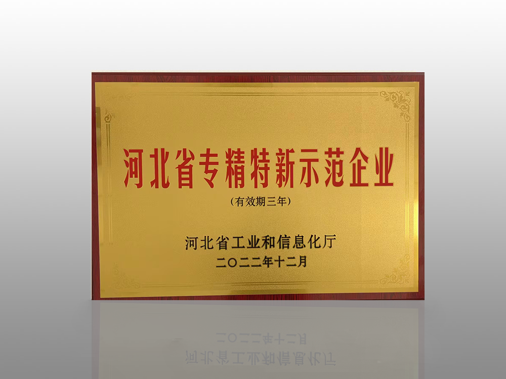 Hebei Province Specialized, Refined, and New Demonstration Enterprise Hebei Province Specialized, Refined, and New Demonstration Enterprise