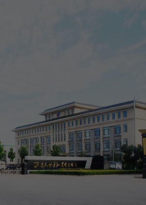 Hebei Dongfeng Shijing Railway Co., Ltd.