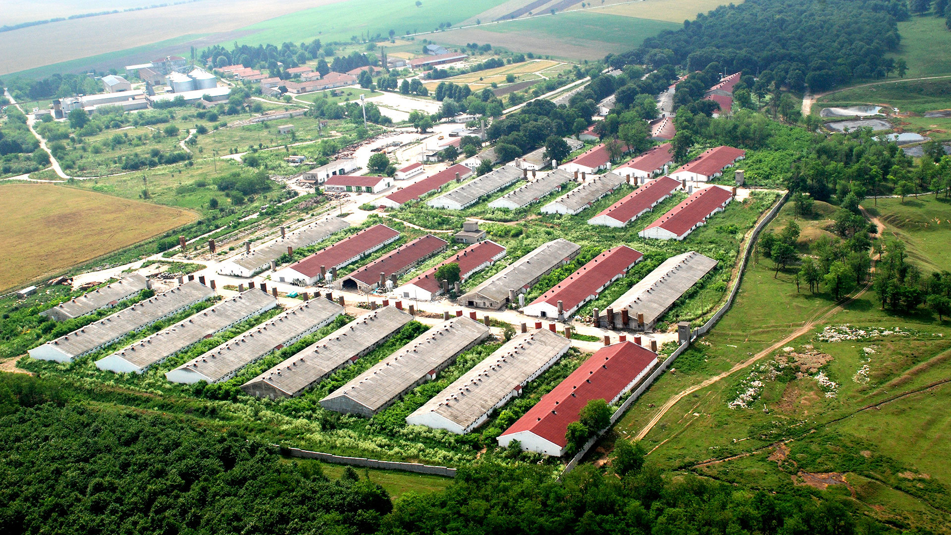 Professional manufacturer of modern breeding equipment