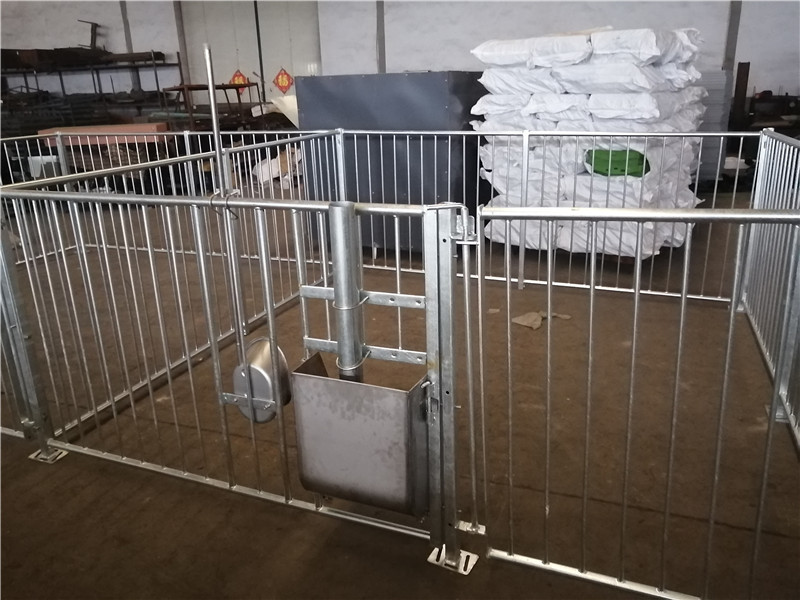 Boar crate