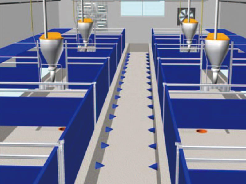 Pig farm design