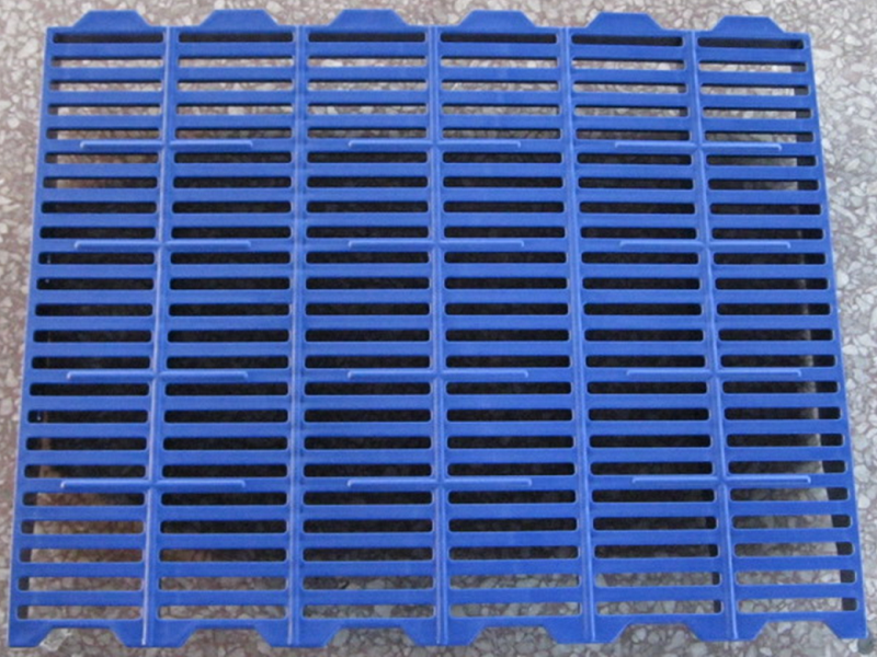600x500-for antislip piglets