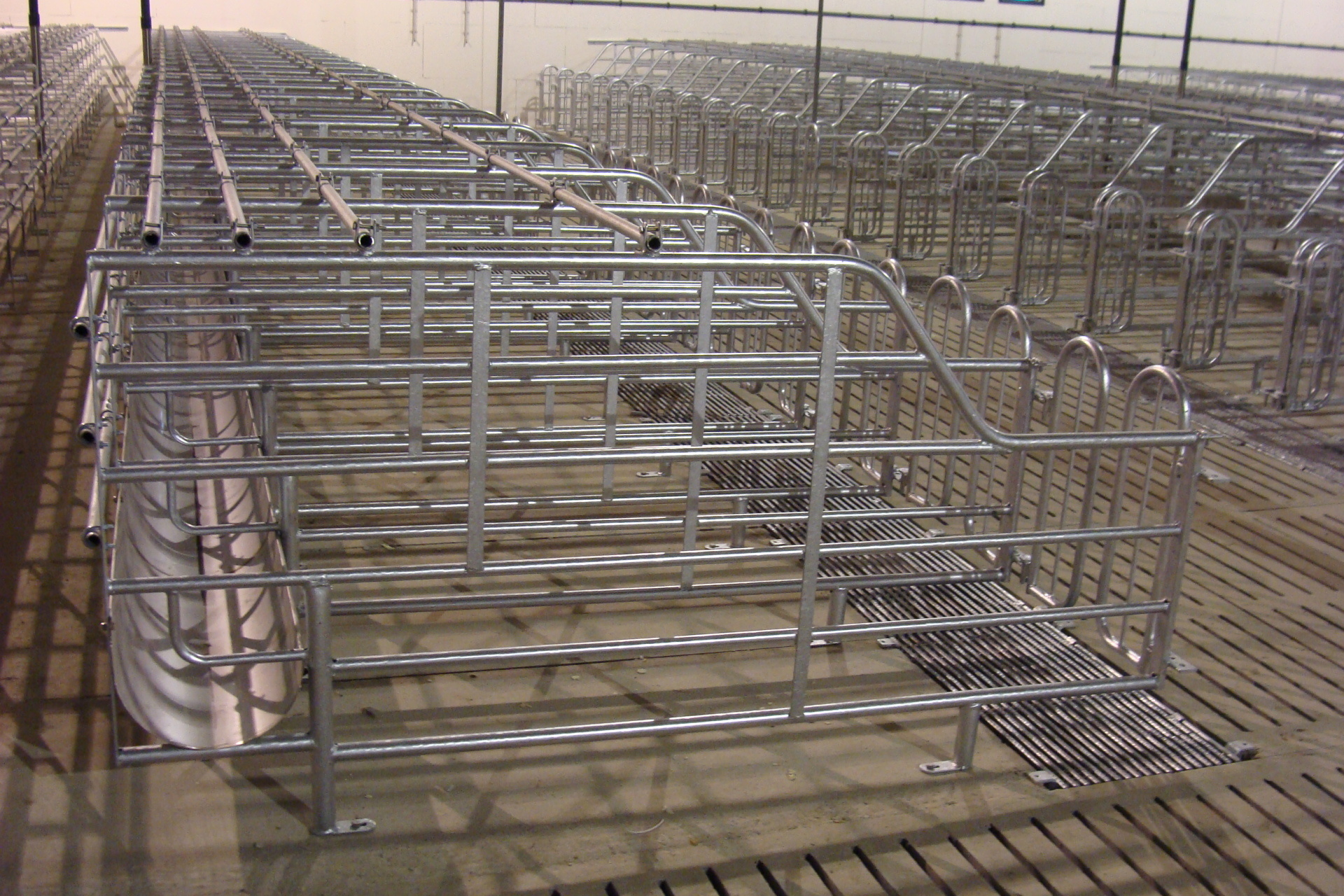 Gestation  stall