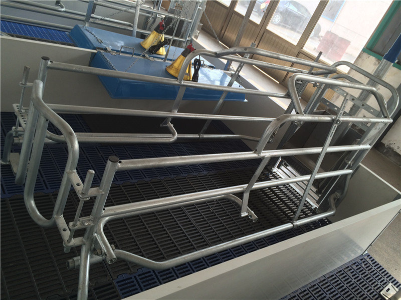 Farrowing  crates