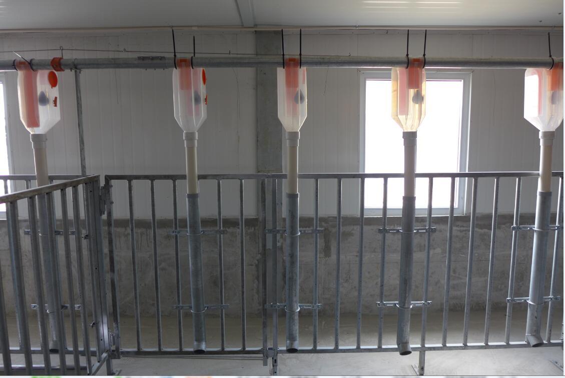 Auto-feeding system