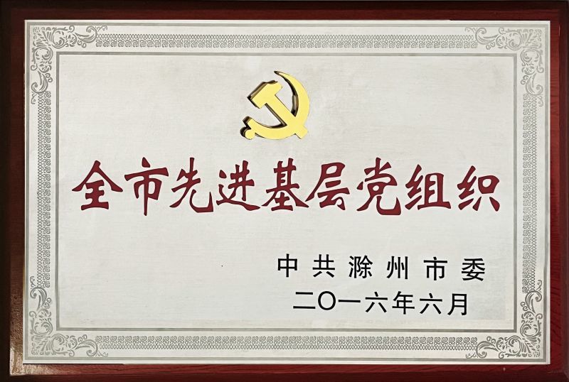 全市先进基层党组织