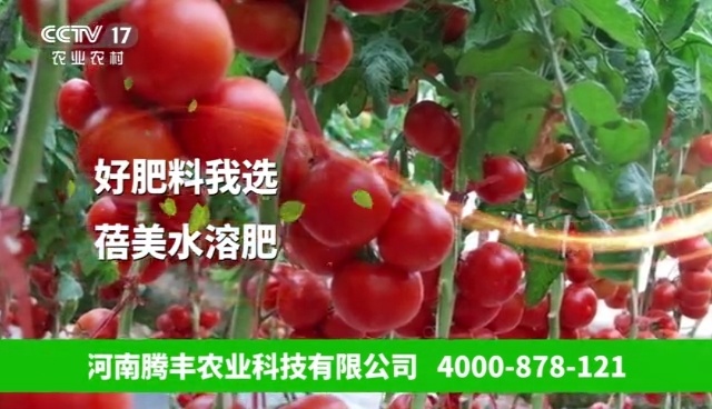 轉(zhuǎn)色肥