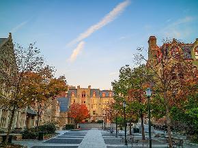 宾夕法尼亚大学
