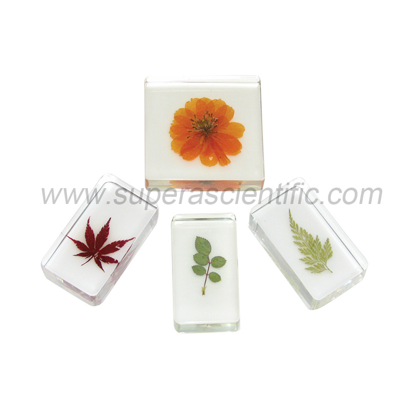 900 Molded Acrylic Specimens, Plant Life, 4pcs/set